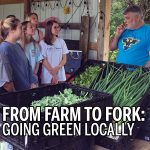 From Farm to Fork: Going Green Locally