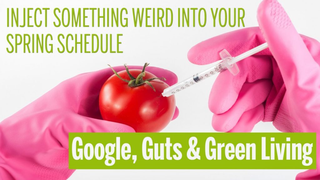 Google, Guts & Green Living